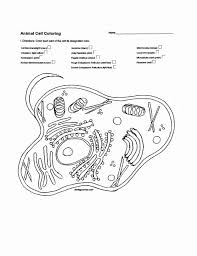 Scopri ricette, idee per la casa, consigli di stile e altre idee da provare. Pin On Printable Blank Worksheet Template