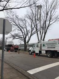 Maybe you would like to learn more about one of these? Chicago Arborist Isa Certified Arborist Tree Service