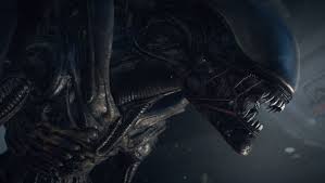 They can be anything from indie hits to past aaa releases. Alien Isolation Release Confirms Epic Games Store Free Games Leak List Slashgear