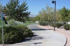 One of the most common mistakes in caring for cacti is wrong cactus repotting (transplanting). Cactus Wren Trail Nevada Trails Traillink