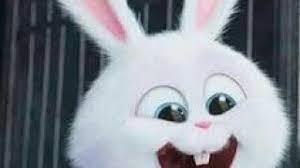 Check spelling or type a new query. Sinhala Song For Whatsapp Status 2020 Youtube