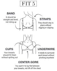 54 Special Front View Breast Size Chart How To Draw