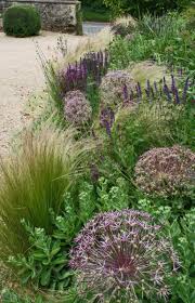 Sedum Graser Allium Salbei Allium Flowergardenideasinfrontofhouseyards Graser Salbei In 2020 Garten Stauden Garten Ideen