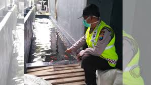 Balita 2 Tahun Tewas Tenggelam Di Kolam Ikan Koi Samping Rumah Faktualnews Co