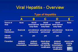 Pin On Hepatic System