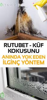 Rutubet kokusu, ev rutubet kokusu, rutubet kokusu nasıl havadaki nemden kaynaklanan rutubet, özellikle yağmurlu dönemlerde evdeki en büyük sorun haline gelir. Rutubet Kokusunu Aninda Yok Eden Ilginc Yontem Garden Styles Garden Tags Garden Tools