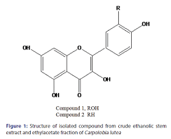 Image result for Carpolobia