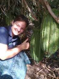 Image result for Telfairia pedata