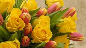 La multi ani de 8 martie! Mesaje De 8 Martie Cele Mai Frumoase Mesaje Pentru Femeile Din ViaÈ›a Ta Antena 3