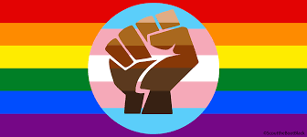 Tons of people use the rainbow flag to represent the lgbtq community, but it's not the only flag that people in the community connect with. The Trevor Project Saving Young Lgbtq Lives