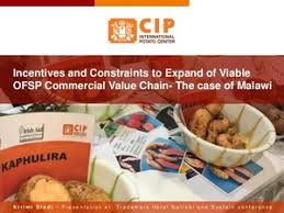 ↑ michel guillaume, « l'ofsp, un paquebot sans vrai capitaine », le temps,‎ 24 septembre 2020 (lire en ligne, consulté le 24 septembre). Roundtable Meeting Nairobi Kenya Incentives And Constraints To Expand Of Viable Ofsp Commercial Value Chain The Case Of Malawi International Potato Center