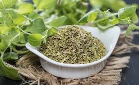 Para Que Sirve Tomar Te De Oregano