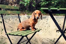 Ikea Minihack Outdoor Setting Green Distressed Giardino