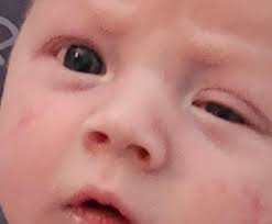 Any crafty people who can create a crocheted ￼little pouch ? Looking to  purchase about 4. Thx😎