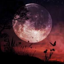 The april full moon in 2021 is the first super moon of the year and the second brightest!i didn't anticipate the moon being so bright▼ amazon storefront ▼. May Super Full Moon In Scorpio May 7 2020 Crystal B Astrology Full Moon Pictures Full Moon Photos Scorpio Moon