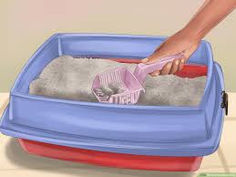 Liquid wormer effectively and quickly removes large roundworms. 4 Ways To Deworm Cats Wikihow Pet