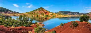 Image result for Selago lacunosa