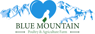 Check spelling or type a new query. Home Of Blue Mountain Poultry And Agricultural Farm