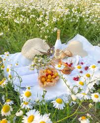 In The Daisy Field Picnic Inspiration Picnic Date Spring Vibes