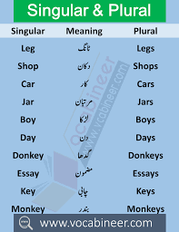 100 Singular Plural Nouns List Examples In Urdu Or Hindi With Pdf In 2020 Plurals Learn English Vocabulary Singular And Plural