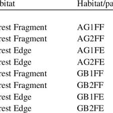 Image result for Agelanthus sp. aff. A. brunneus