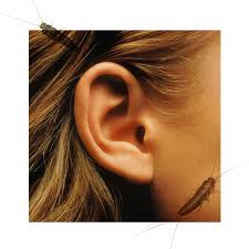 Lay tilt on a towel for a few minutes, to absorb the water. My Doctor Dismissed The Bug In My Ear As Anxiety