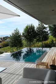 Piscine Miroir In 2020 Outdoor Decor Backyard Small Backyard Pools Rectangular Pool