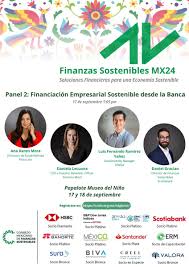 Consejo Mexicano de Finanzas Sostenibles