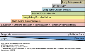 Image result for COPD Management