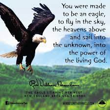 You Were Made To Be An Eagle To Fly In The Sky The Heavens Above And Sail Into The Unknown Into The Power Of T Eagles Quotes Prophet Quotes Words Of