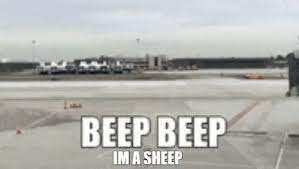 Beep Beep Beep GIF - Beep Beep Beep Im A Sheep - Discover & Share GIFs