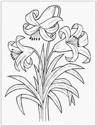 Check spelling or type a new query. Spring Flower Coloring Page Realistic Coloring Pages Coloring Home