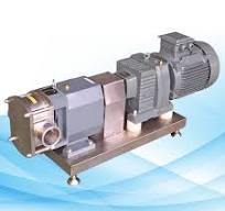 Rotary lobe pump for sale