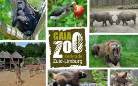 Tot 2011 heette de dierentuin gaiapark. Tb624f5 Travel Bug Dog Tag Gaiazoo Kerkrade