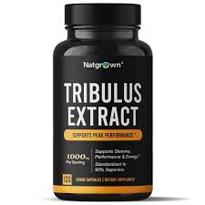 Image result for Tribulus terrestris