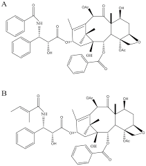 Maybe you would like to learn more about one of these? Liquid Liquid Extraction For Recovery Of Paclitaxel From Plant Cell Culture Solvent Evaluation And Use Of Extractants For Partitioning And Selectivity Abstract Europe Pmc