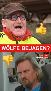 Bundesländer wollen Wölfe bejagen