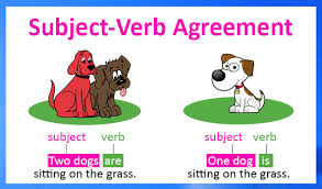 Subject Verb Agreement Lessons Tes Teach