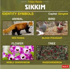 Su, which means new, and khyim, which means palace or the southern urban areas of sikkim have english, nepali and hindi daily newspapers. Sikkim Animals Name In Hindi State Animal Of Sikkim Red Panda Complete Detail Updated We Have Listed Around More Than 100 Animals Name In Hindi