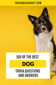 You can't give a dog an. 100 Dog Trivia Questions And Answers Trivia Quiz Night