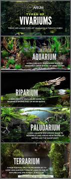 Vivarium Complete Care Guide How To Build Bantam Earth Aquascape Aquarium Vivarium Reptile Terrarium
