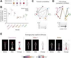 Deconstructing Hunting Behavior Reveals A Tightly Coupled Stimulus Response Loop Biorxiv