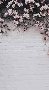 Cute floral wallpaper on wallpapersafari. Rosa Bild Flower Wallpaper Aesthetic