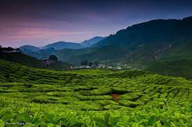 Check spelling or type a new query. Harga Tiket Ladang Teh Bharat 2021 Tips Peta Lokasi