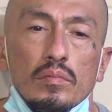 Busted stealing school computers again, deputies say