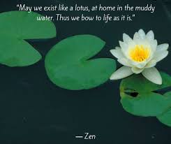 Beautiful Lotus Flower Quotes Enkiquotes Lotus Flower Quote Flower Quotes Lotus Flower