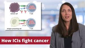 Image result for Immune Checkpoint Inhibitor