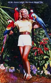 South florida residents have plenty to enjoy from the nearly all. Tropical Decorating Inspiration From 12 Vintage Florida Postcards Retro Renovation