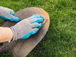 Best way to clean garden tools. How To Clean Care For Your Garden Tools In 8 Easy Steps Hgtv