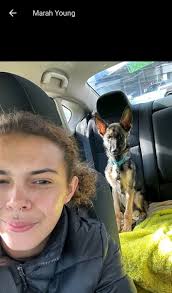 Free pets Elmira Corning ny area